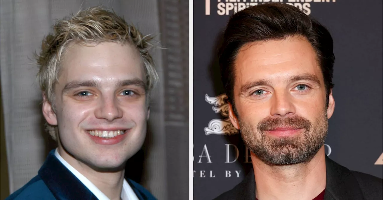 Sebastian Stan's 11-Year-Old Instagram Post Sparks Outpouring of Support After Oscar Nomination