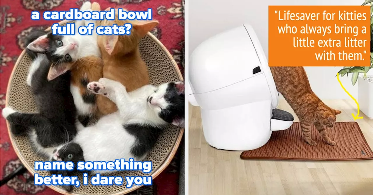 These Genius Cat Products Will Make Your Life (and Your Cat's) So Much Easier