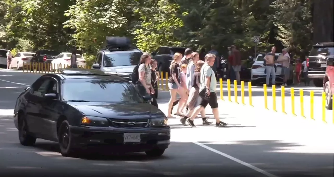 New concrete barriers coming to Cathedral Grove after safety concerns: Province