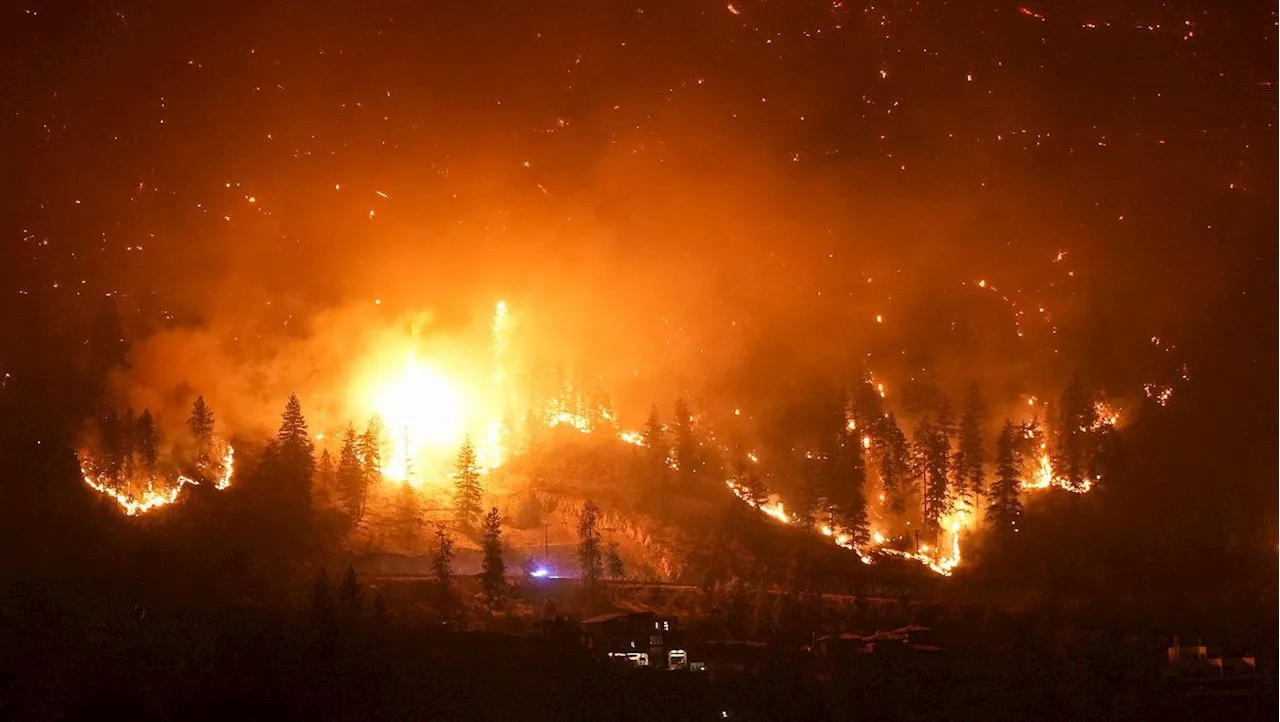 Realtor Charged With Interfering With Wildfire Operations in British Columbia
