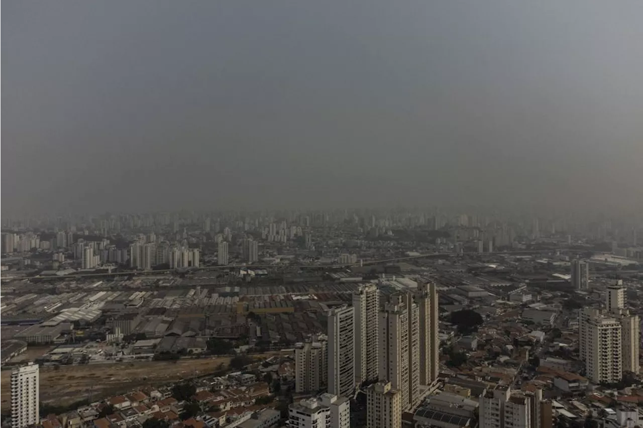 Cidade Universitária tem ar mais poluído da cidade de São Paulo