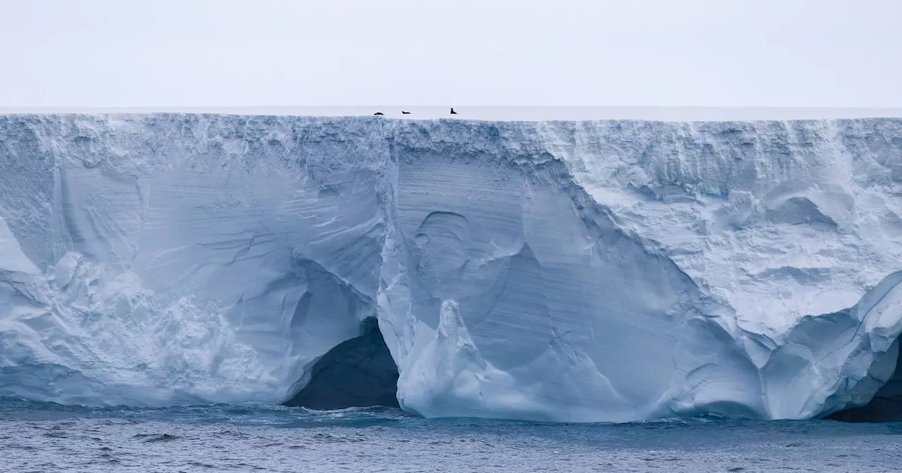 Fears that the world’s biggest iceberg could hit island in the South Atlantic