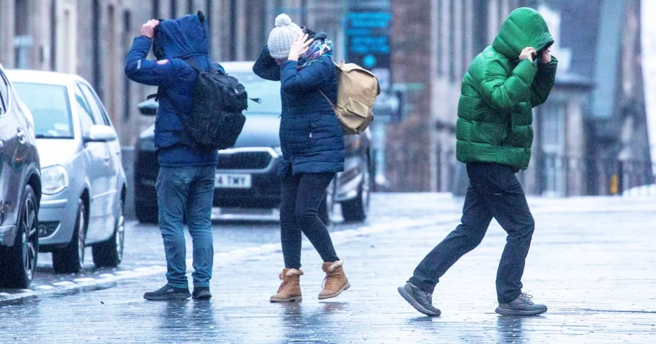 Storm Eowyn Causes Widespread Power Cuts and Travel Disruptions in Scotland