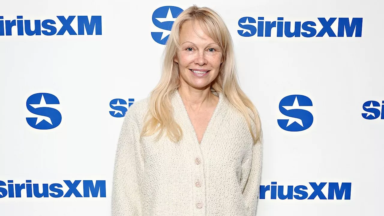 Pamela Anderson on Oscar Snub and 'Pam & Tommy' Hulu Miniseries