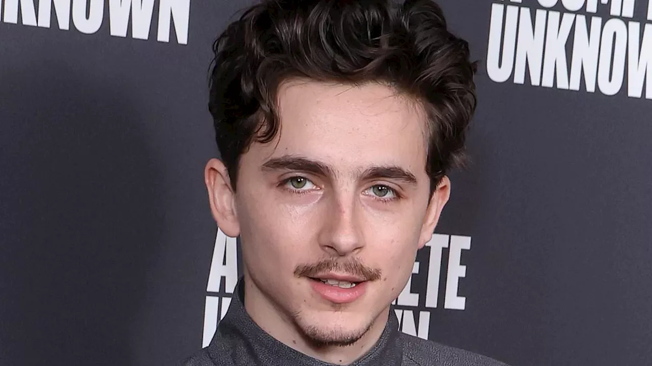 Timothée Chalamet Joins Rare Oscars Club With Second Best Actor Nomination