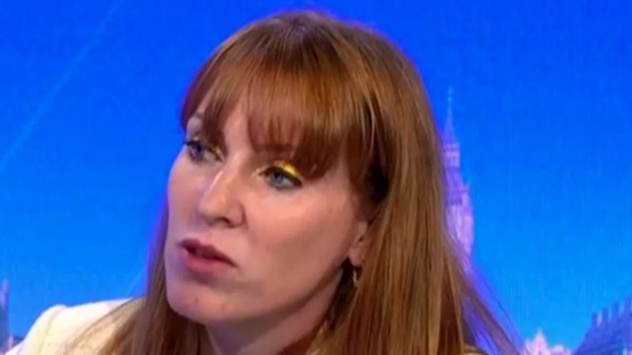 Nigel Farage demands Angela Rayner apologises after Deputy PM claimed he was spreading 'fake news'...