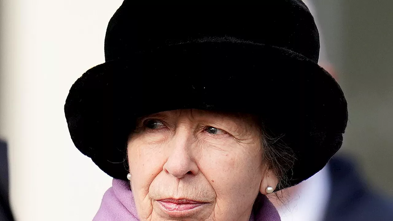 Princess Anne breaks silence on her mystery accident that led to her five day hospitalisation