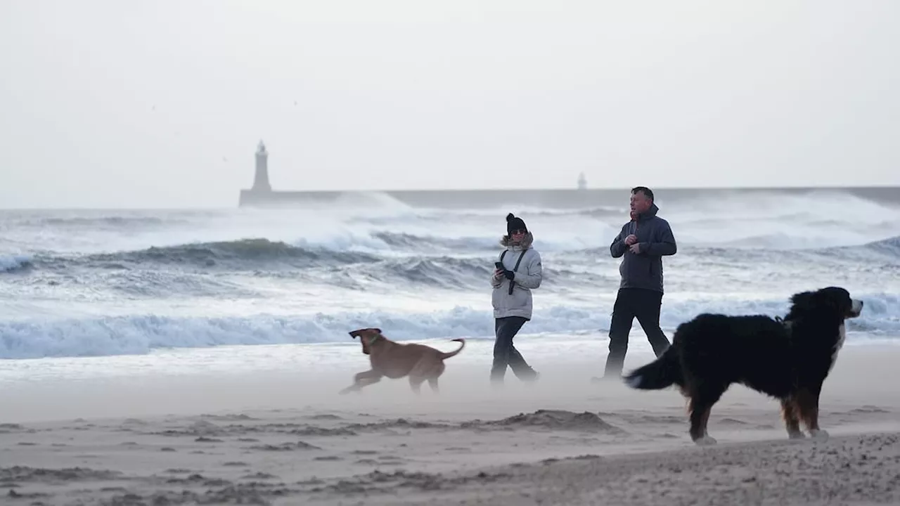 Storm Eowyn Causes Mayhem Across British Isles: Flights Cancelled, Schools Closed, and Train Services Suspended