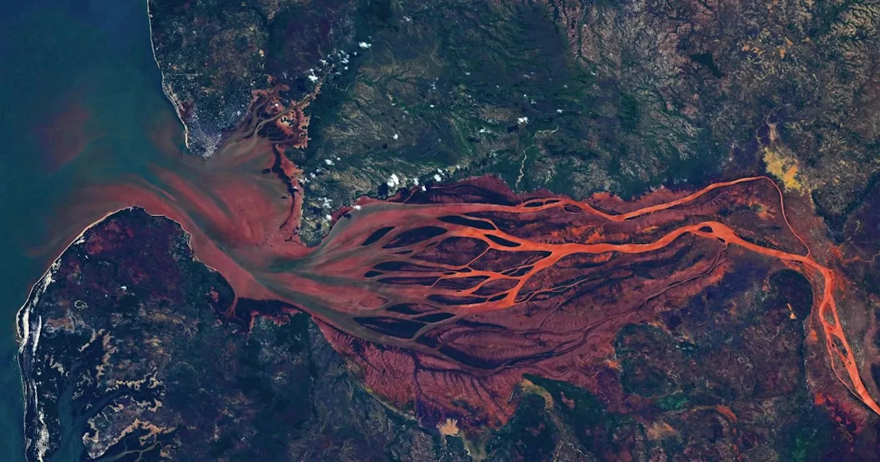 Astronaut Captures Stunning Image of 'Bleeding' Madagascar River