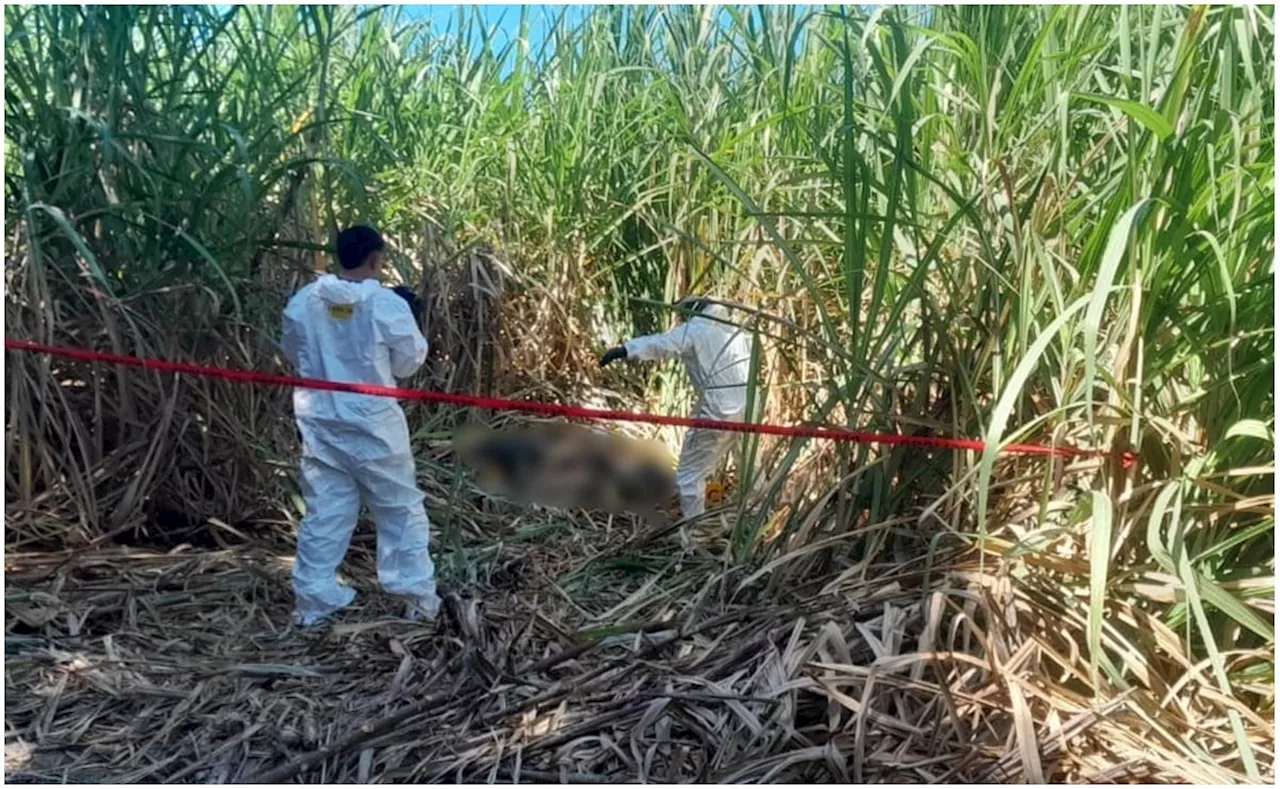 Encuentran cuerpos de tres hombres y una mujer cerca de carretera en Chiapas