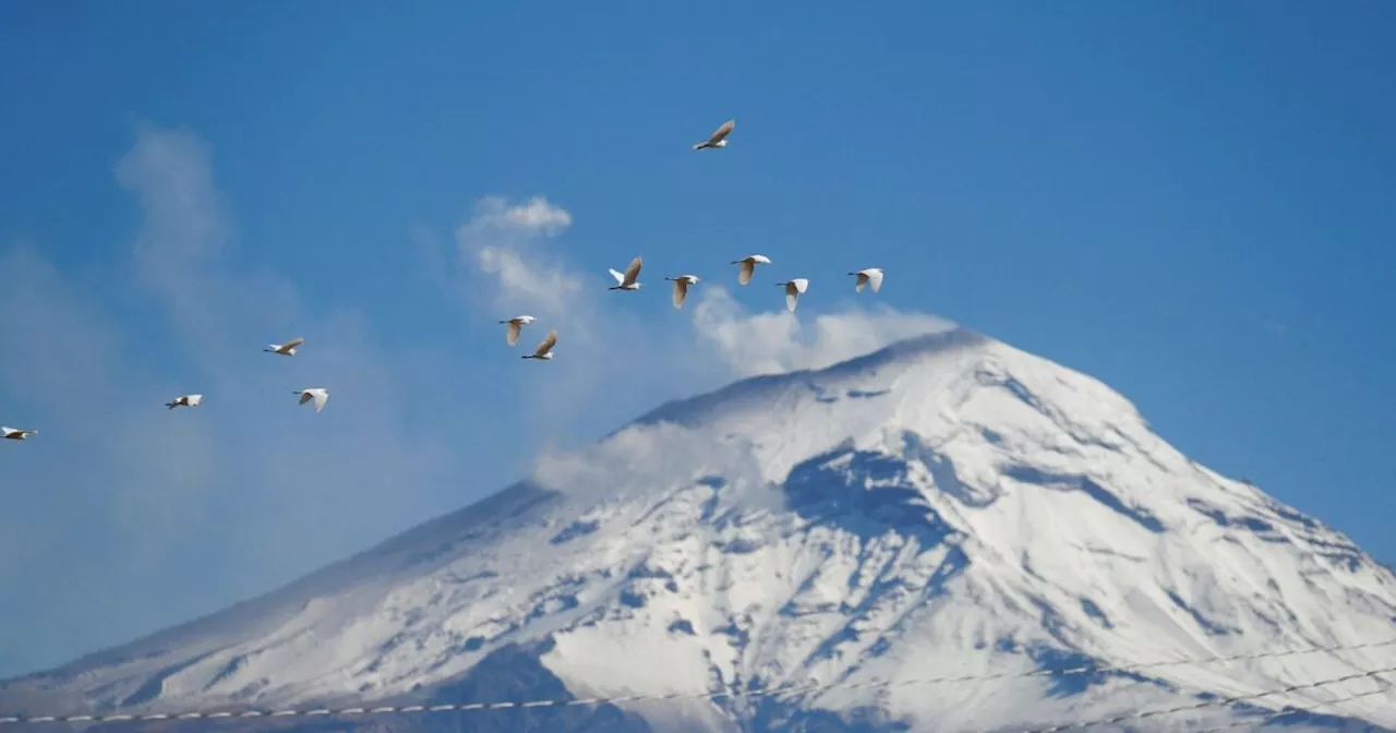 Los volcanes del país se cubrirán de nieve este fin de semana, según el SMN