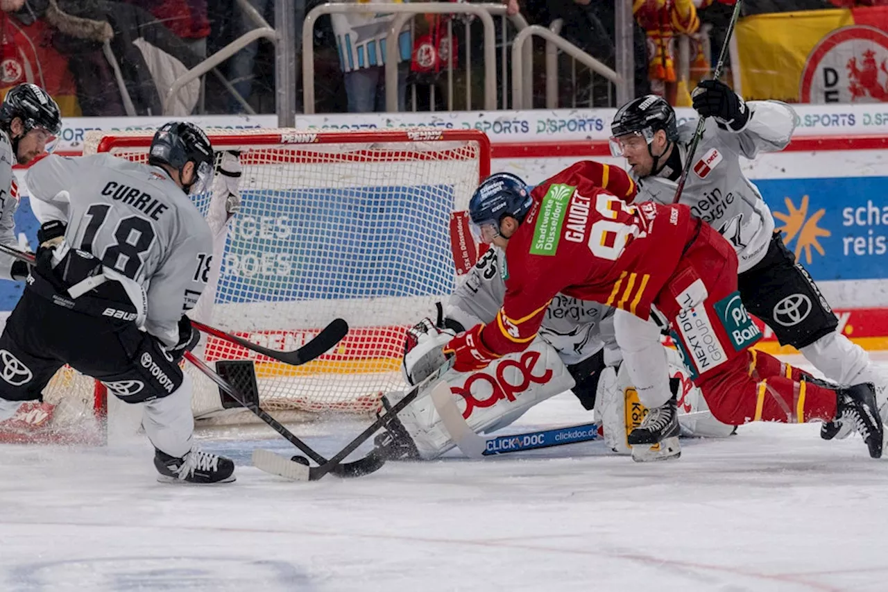 Haie-Jubel im Derby: Sieg nach Dreifach-Comeback in Düsseldorf