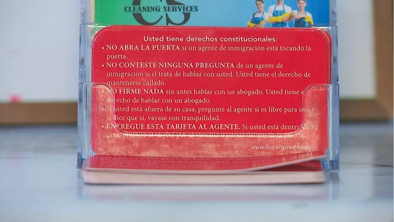 Mexican Restaurant Provides Red Cards to Refugees, Outlining Legal Rights During Immigration Encounters