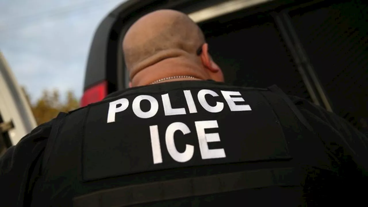 ICE Raids and Illinois Law Enforcement Response