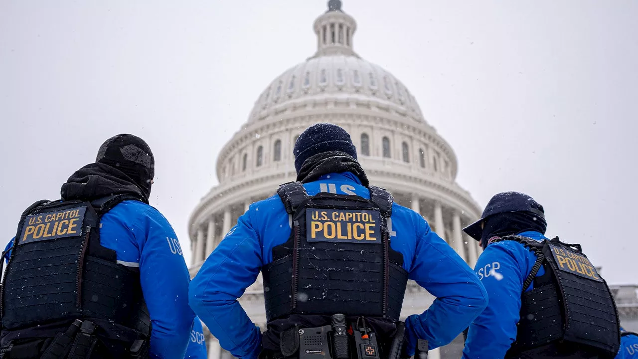 Massachusetts Man Arrested After Bringing Handgun into U.S. Capitol