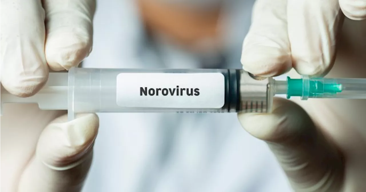 Sick of the stomach bug? Moderna is making a norovirus vaccine