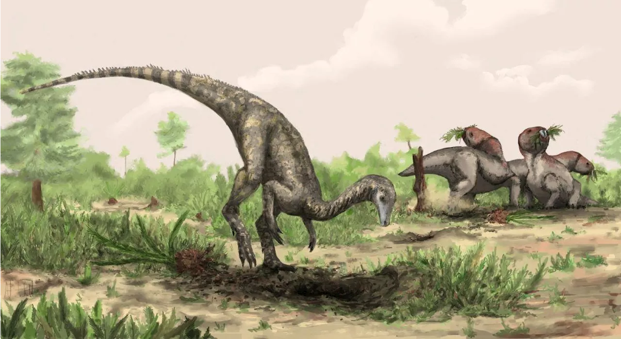 Dinosaurs' Ancient Origins Traced to Equatorial Regions