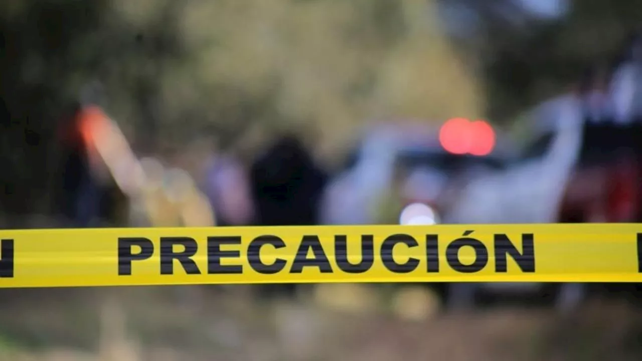 Tétrico: captan a perro jugando con cráneo humano en Jardines de Morelos