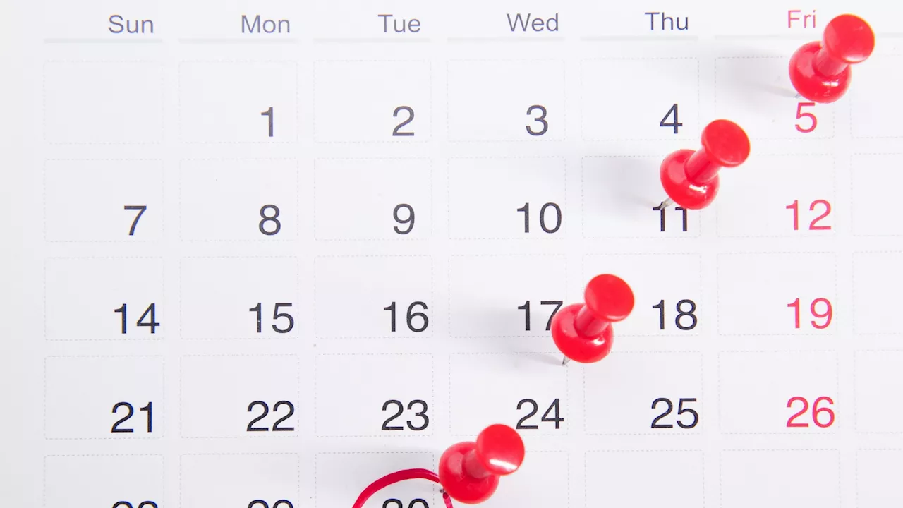 Threads Adds Scheduling Feature, Expanding Platform Capabilities