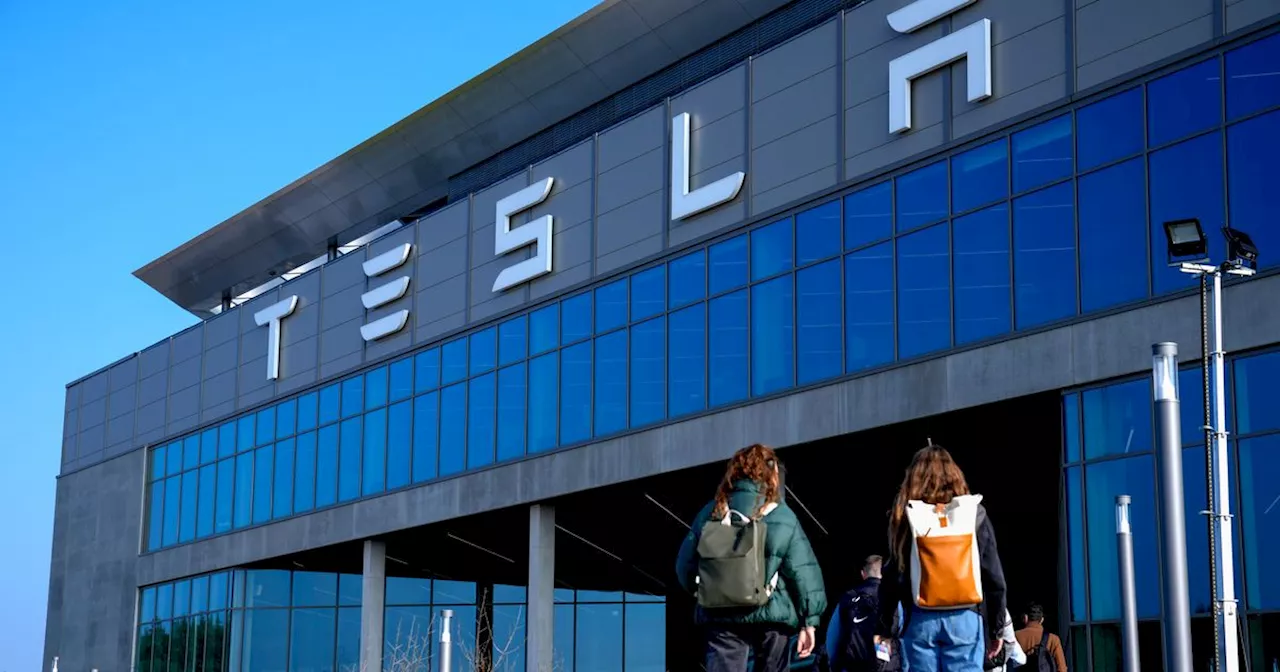 Activist Group Projects ‘Heil’ Message On Berlin Tesla Factory After Elon Musk Salute