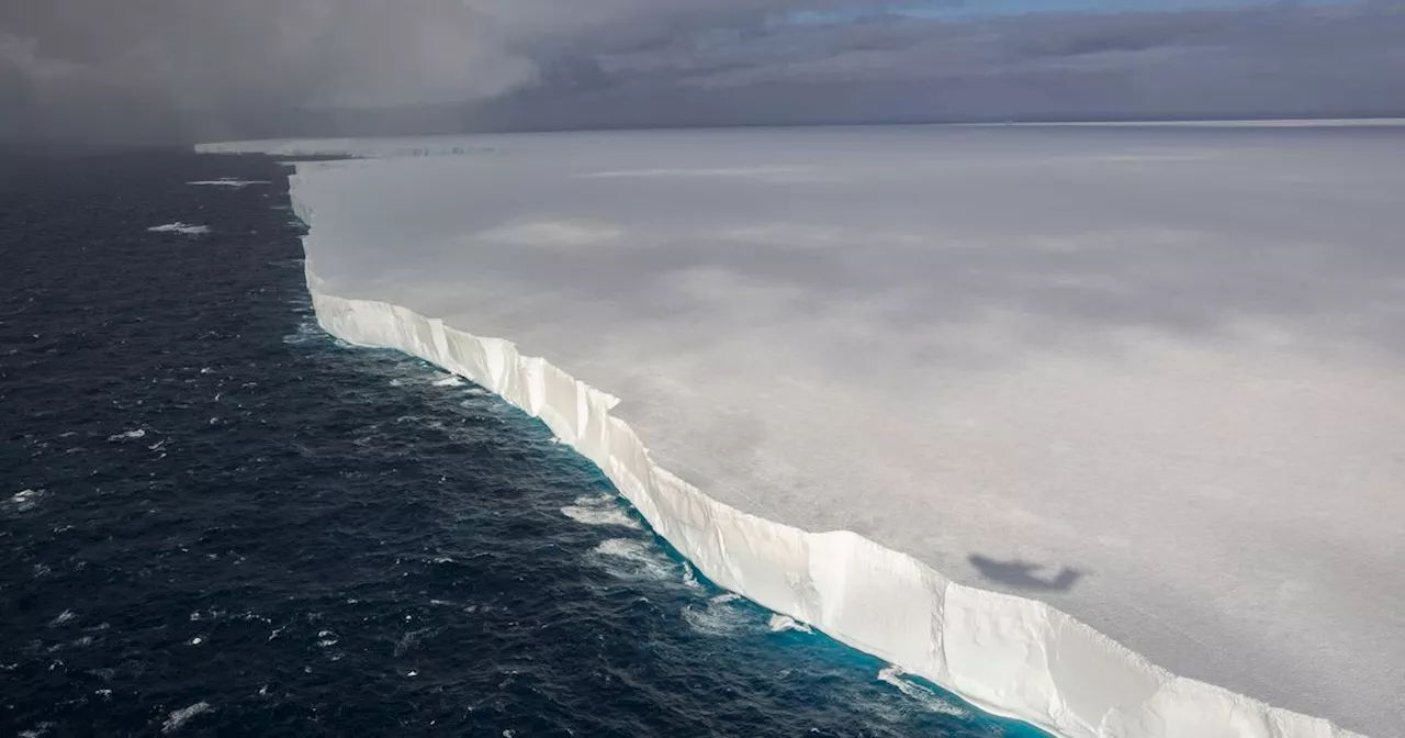 Wall Of Ice The Size Of Rhode Island Heading Toward Penguin-Packed Island