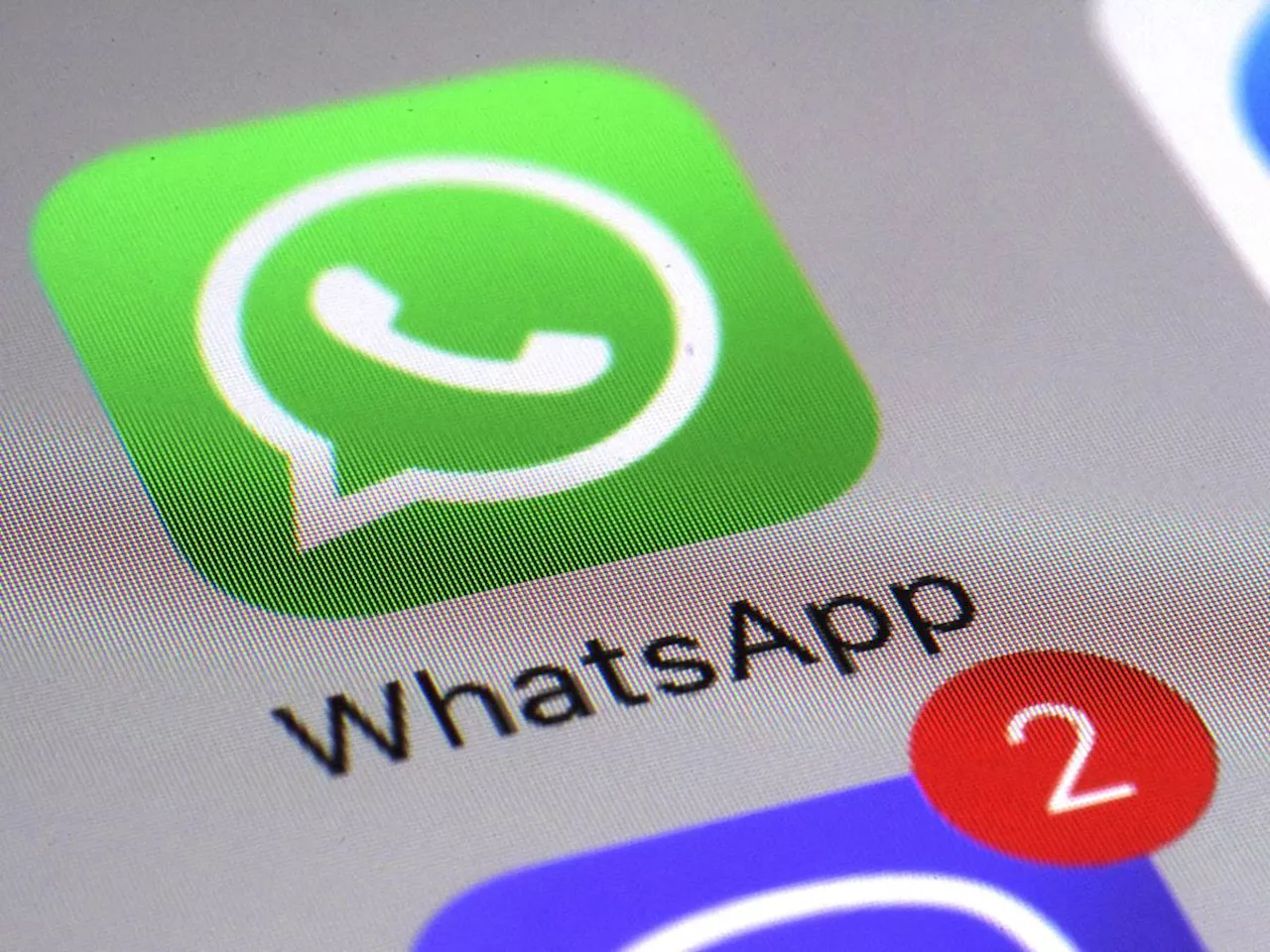 WhatsApp Cambia le Icone: Confusione e Malumori Tra gli Utenti