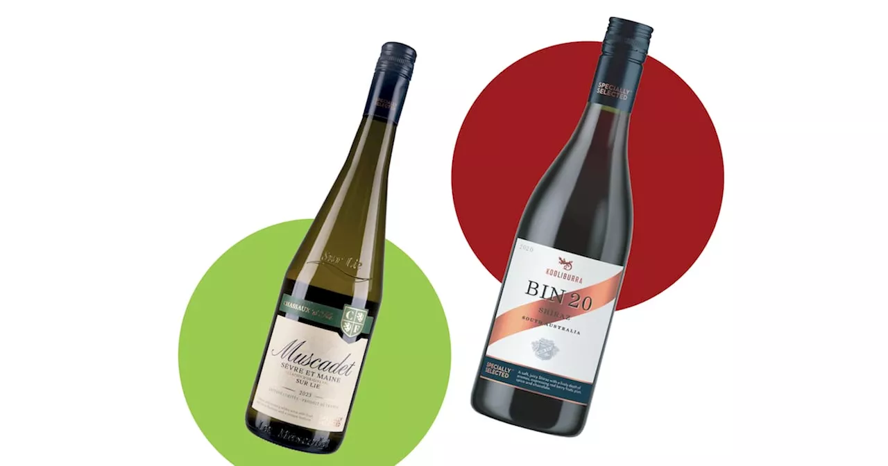 Exploring the World of Wine: Muscadet and Australian Shiraz