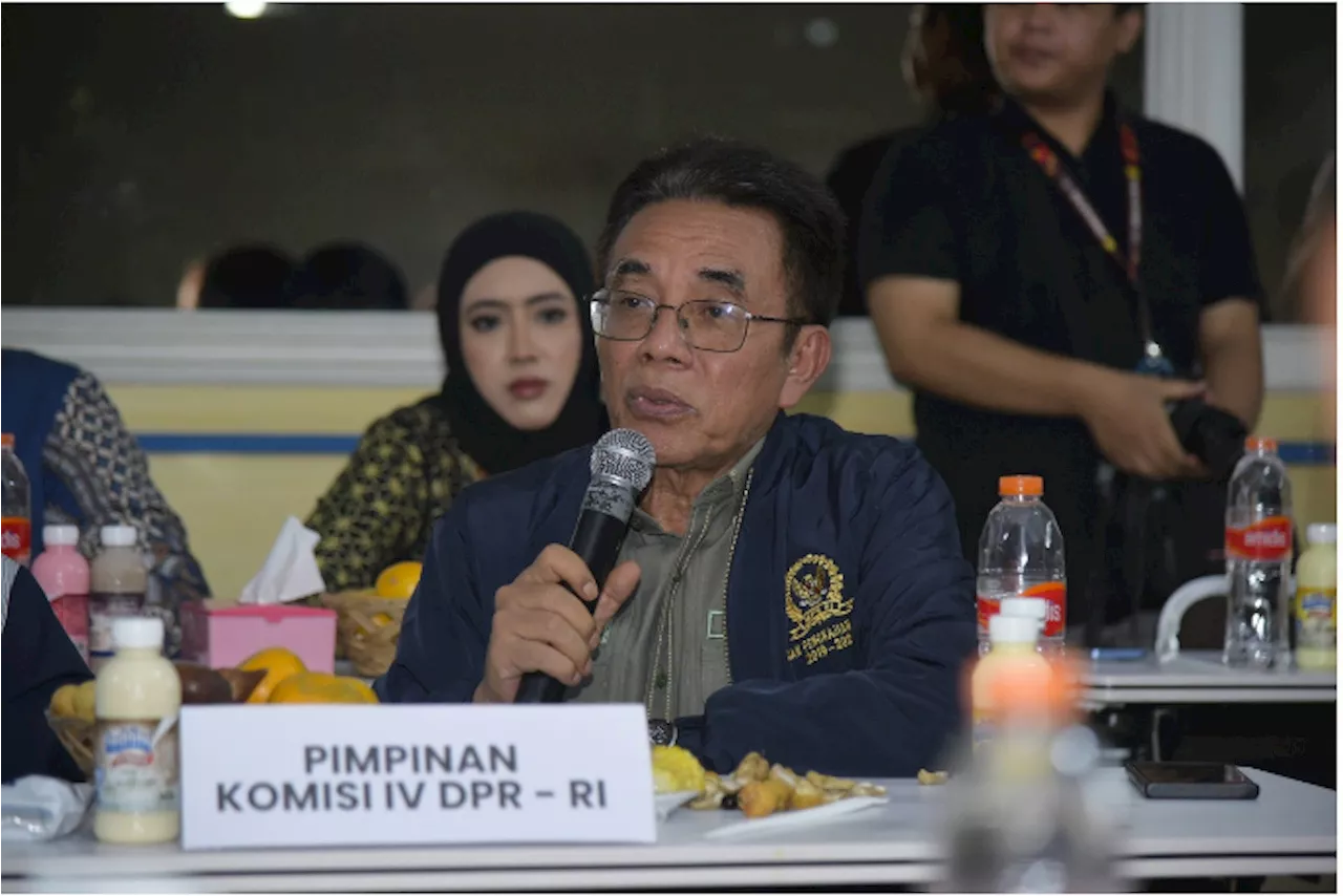 Tanggapi Pagar Laut, Panggah Susanto DPR: Pelanggaran Atas Kepemilikan KKPRL Diancam Hukuman Pidana