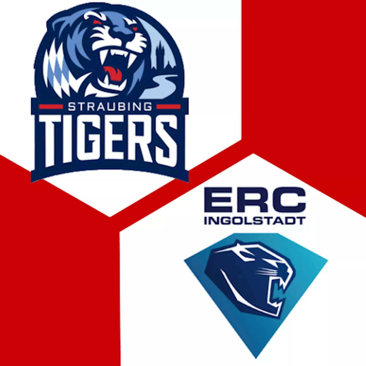  ERC Ingolstadt 1:4 | 39. Spieltag | Deutsche Eishockey-Liga 2024/25