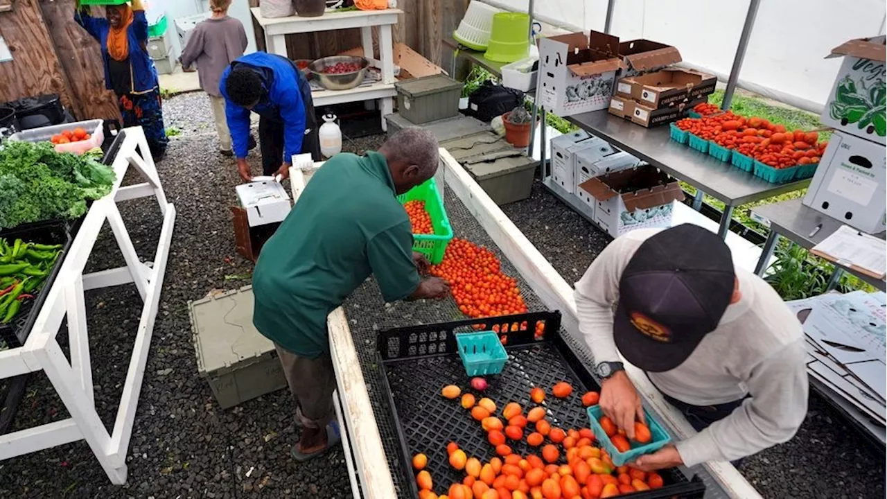 Farmer discusses potential impacts of Trump tariffs on the industry