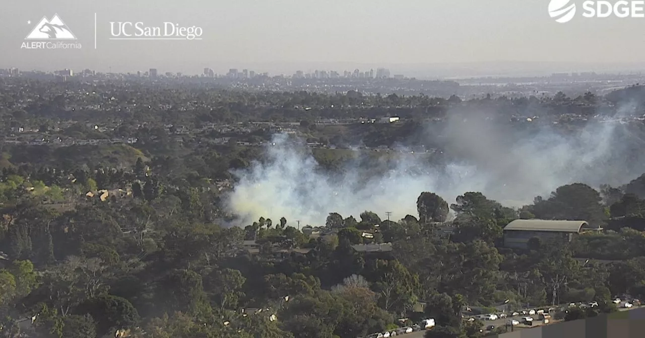 Brush Fire Erupts Near UC San Diego, Prompting Evacuations