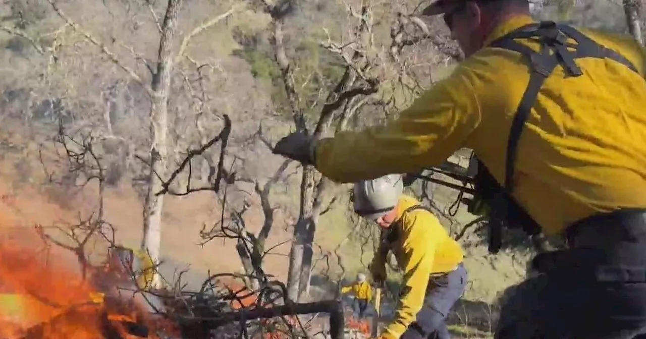 Contra Costa Fire Crews Prepare for Wildfire Season with Prescribed Burns