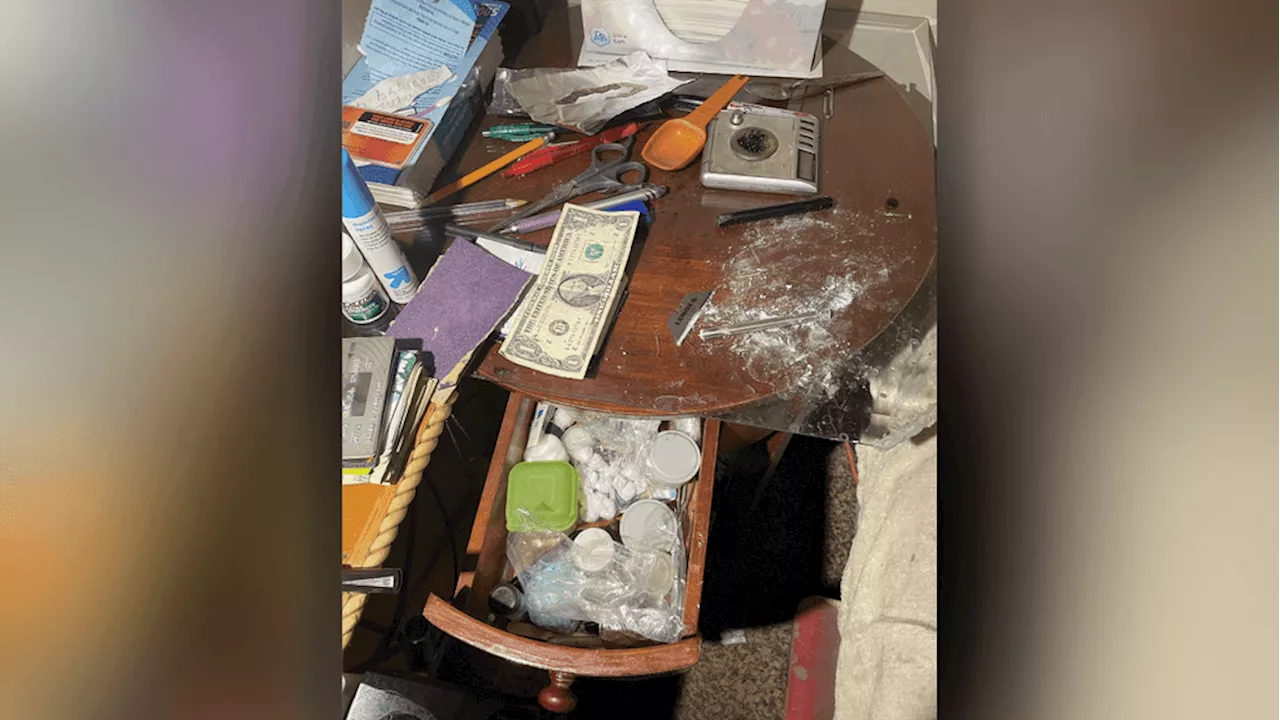 Massive Drug Bust in Utah as Carfentanil and Other Illicit Substances Seized