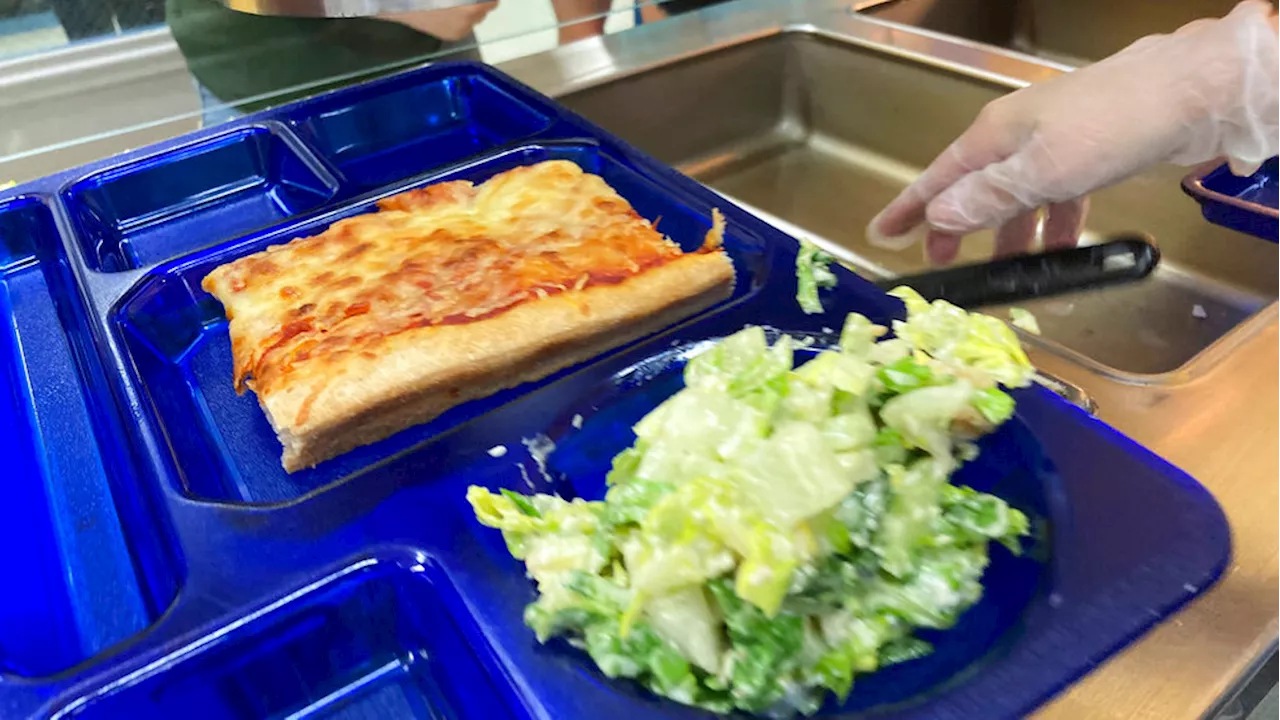 Utah Kids Going Hungry: Stigma of Free Lunch Programs Persists