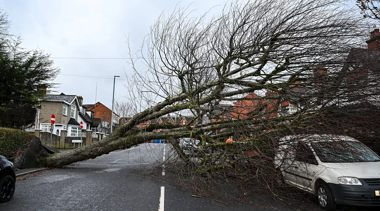 Tormenta 'Eowyn' azota Reino Unido con vientos de 150 km/h