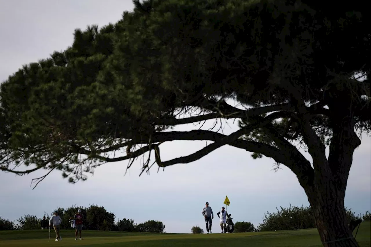 Genesis Invitational Moves to Torrey Pines Due to California Wildfires