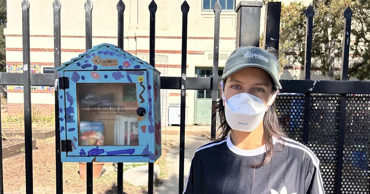 Altadena Seed Library Overwhelmed with Donations After Wildfires