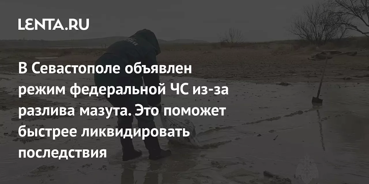 В России создана комиссия по ликвидации последствий разлива мазута после крушения танкеров