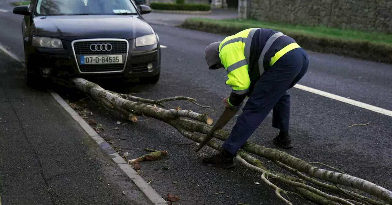 Tempête Eowyn : rafales dignes d’un ouragan en Irlande, plus de 500 000 foyers sans électricité