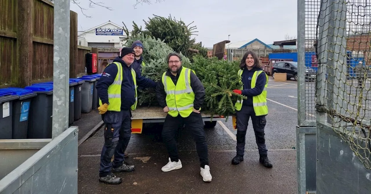 Christmas tree collection raises over £31,000 for Lancashire hospice