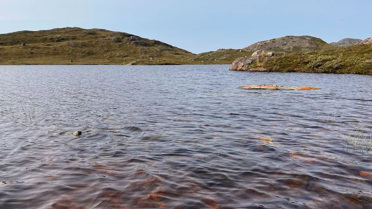 Greenland's Blue Lakes Turn Brown, Start Emitting Carbon Dioxide