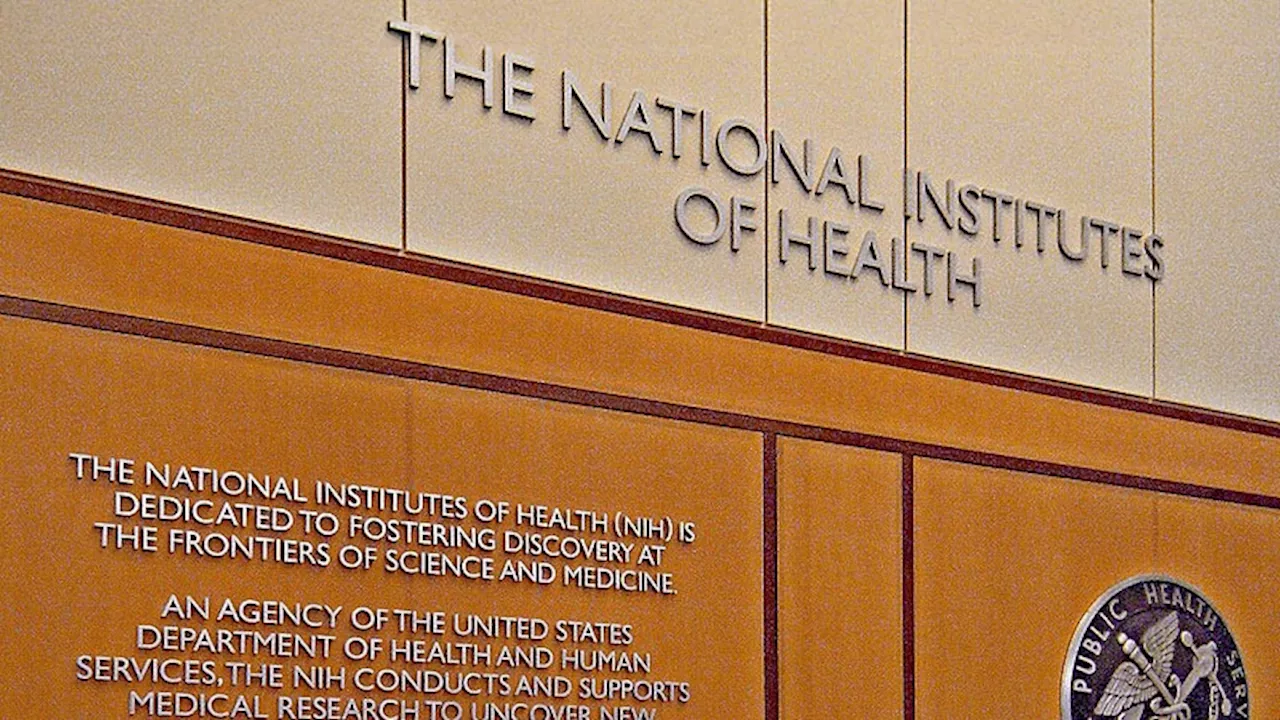 NIH Grants and Cancer Research Face Uncertainty Amidst Trump Administration Restrictions