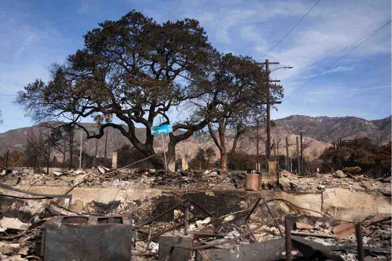 Wildfire Containment Advances, Cleanup Begins as Rain Forecast