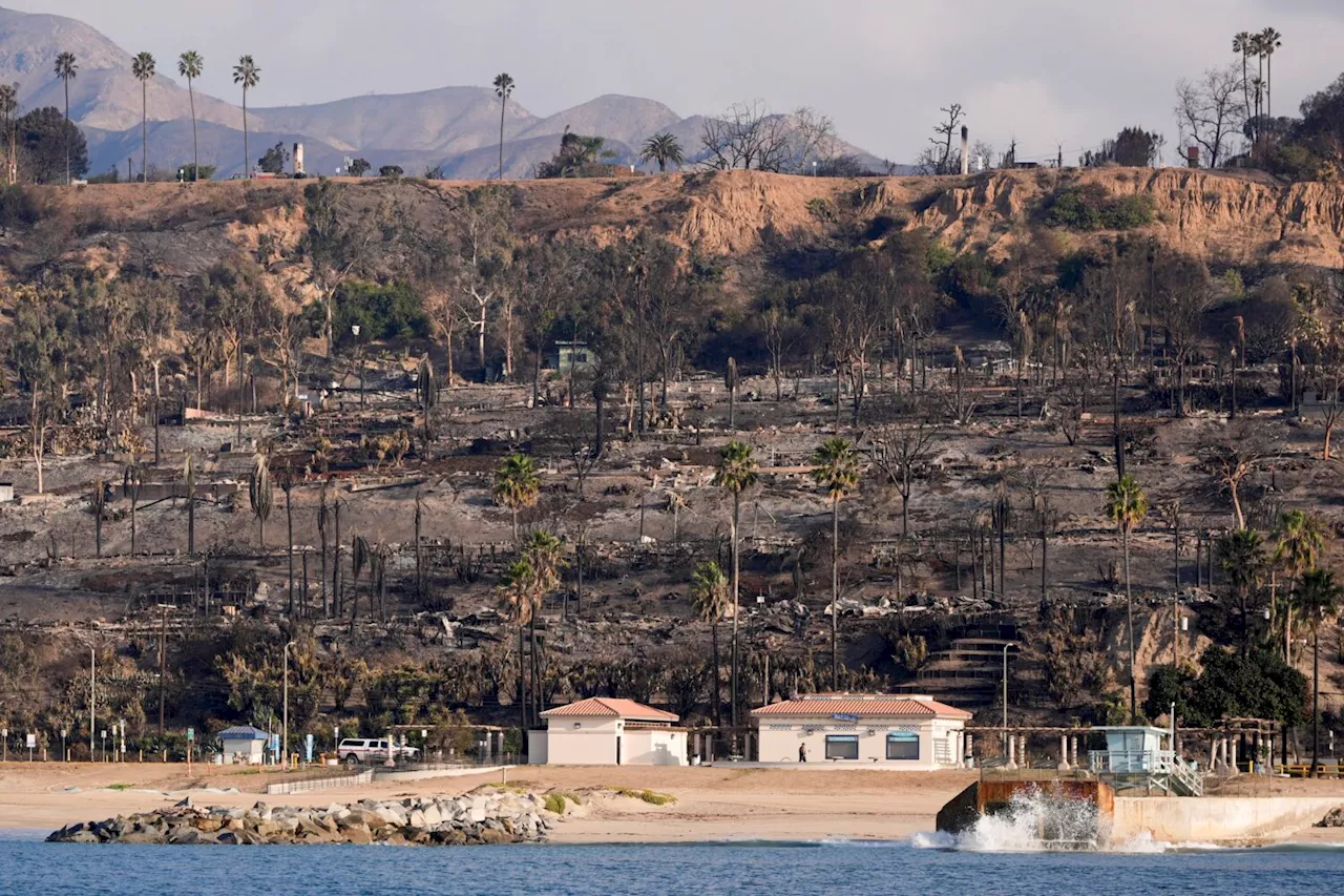 Trump Wants to Reshape FEMA Amidst California Wildfires and Southeastern Storms