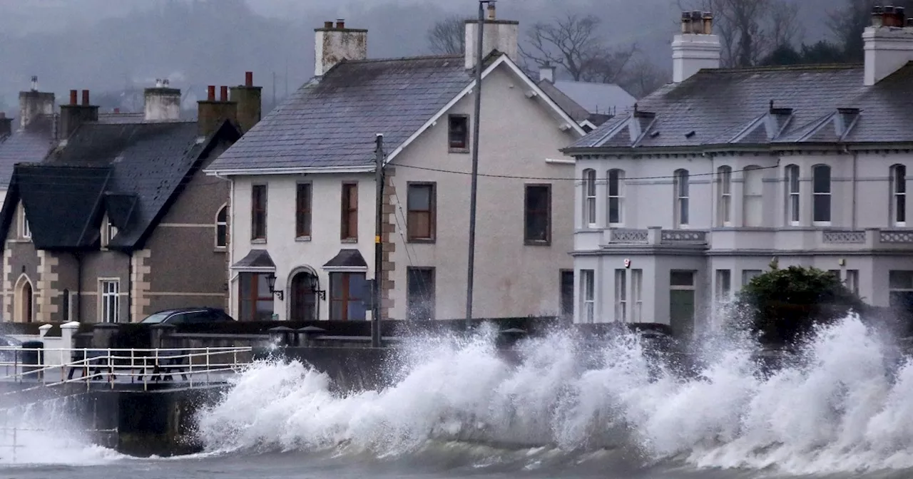 Storm Eowyn Wreaks Havoc Across Ireland and Northern Ireland