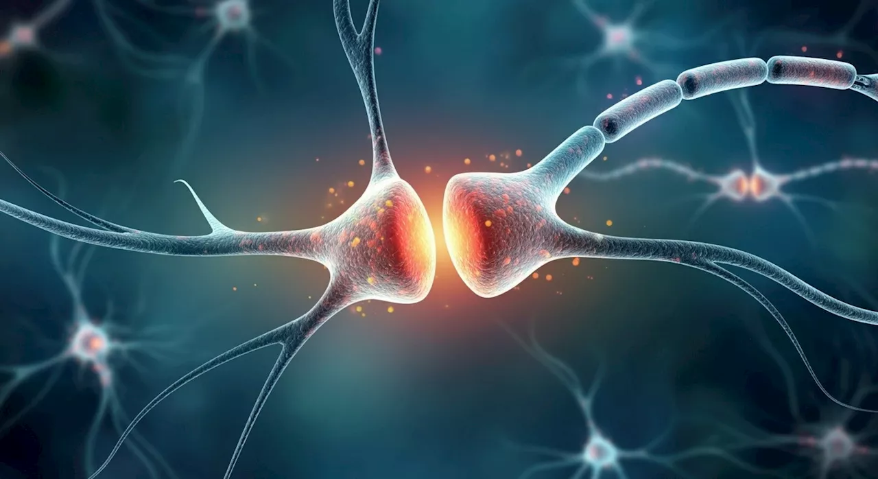 Decades of DNA expansion linked to Huntington’s disease neurodegeneration