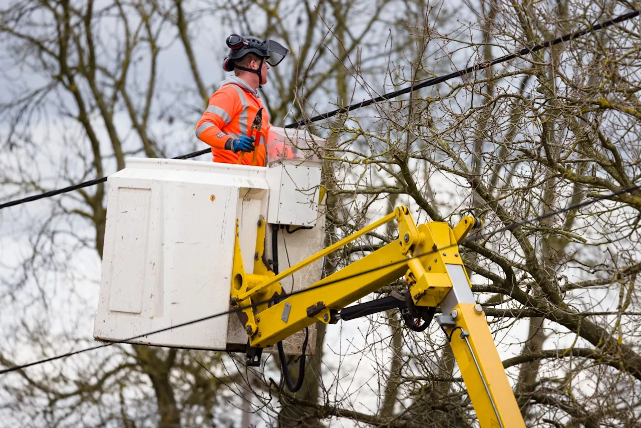 Storm Éowyn: Red Weather Warning Issued as County Faces Catastrophic Damage