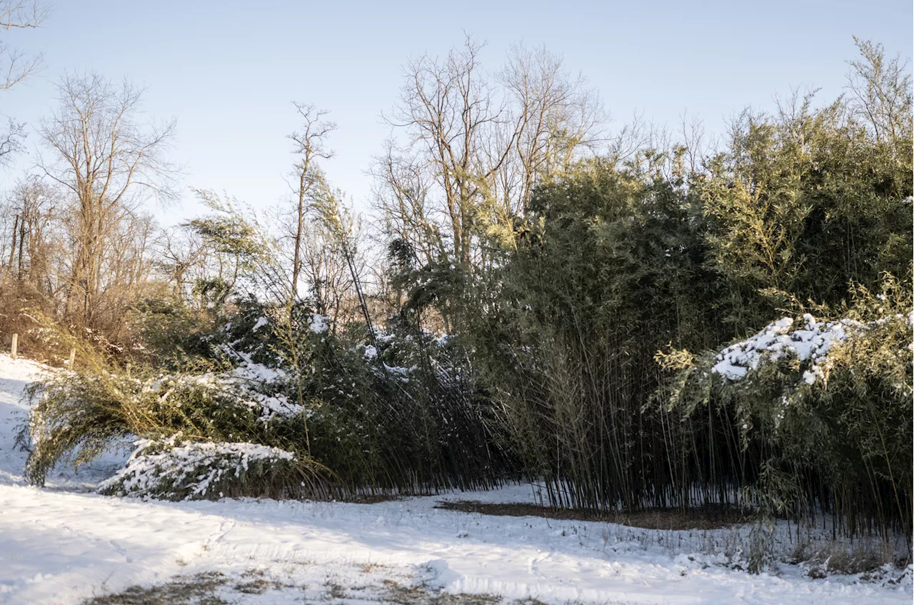 Winter Storm Warnings Issued for Six States as Up to 30 Inches of Snow Expected