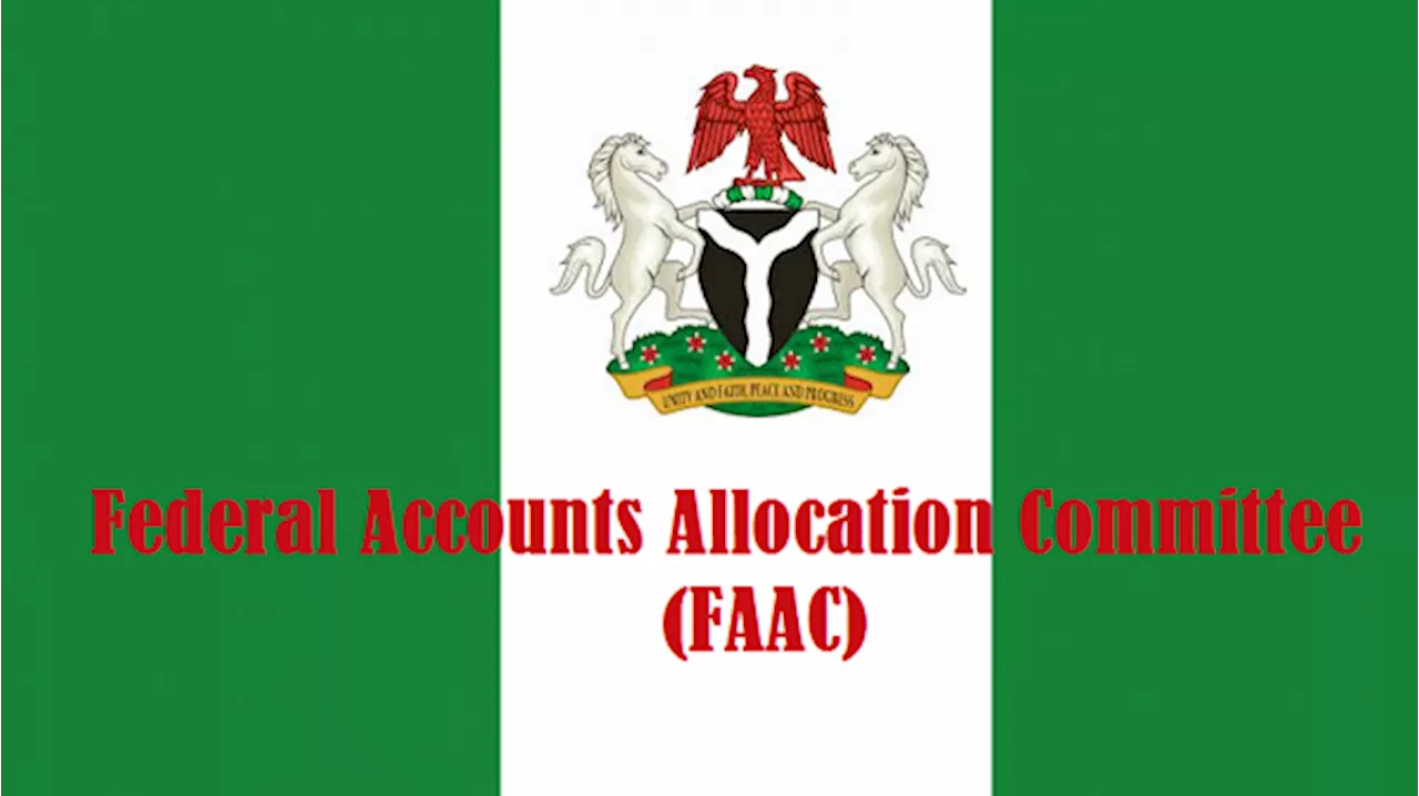 Local Governments Miss Out on January Allocations Due to Account Submission Delays