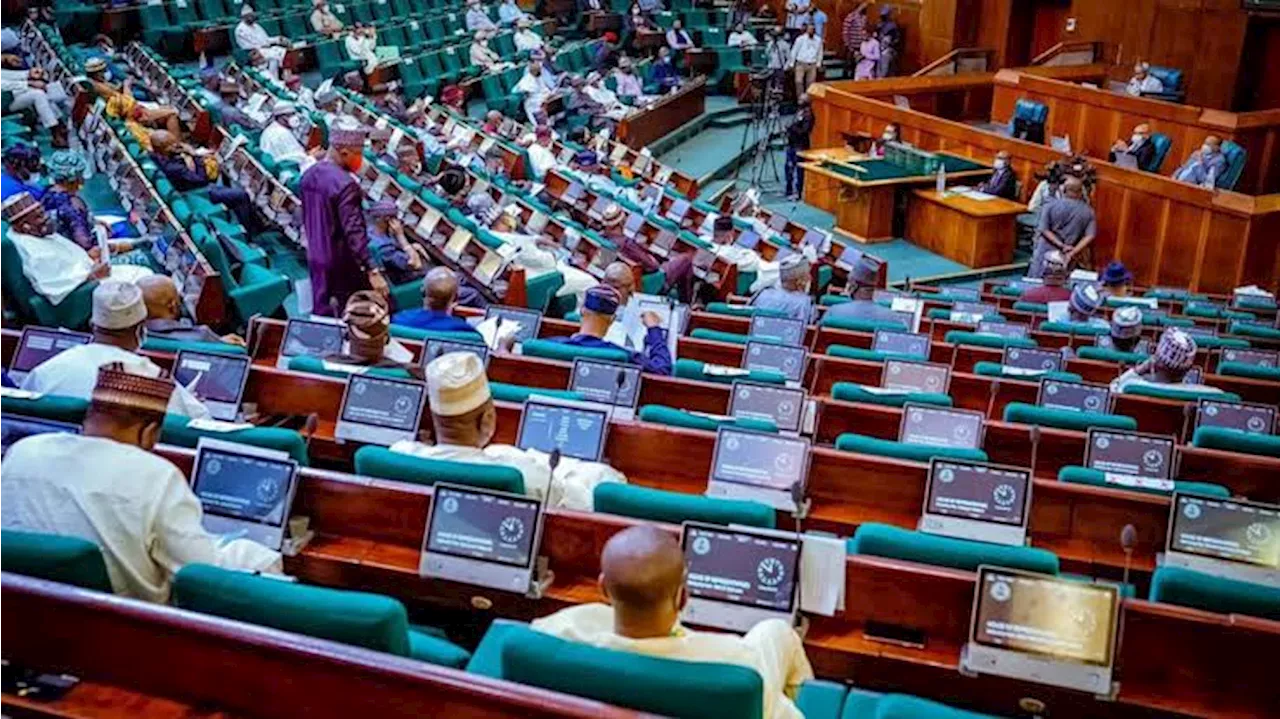 Nigerian Electoral Committee Disputes INEC's Advice on Lawmakers in Bye-Elections